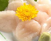 帆立刺し
