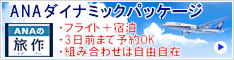ANAダイナミックパッケージ 組み合わせは自由自在