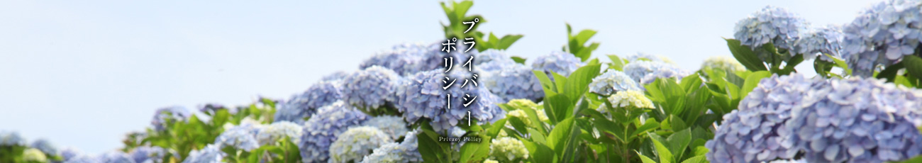 プライバシーポリシー